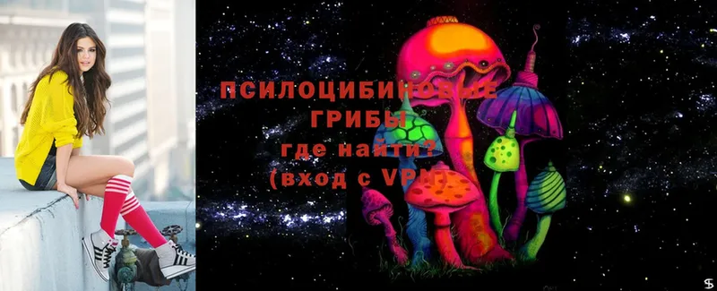 Галлюциногенные грибы Psilocybe  ссылка на мегу как войти  Борзя 